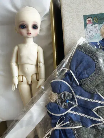 보크스 유SD 파랑새 덤 포함