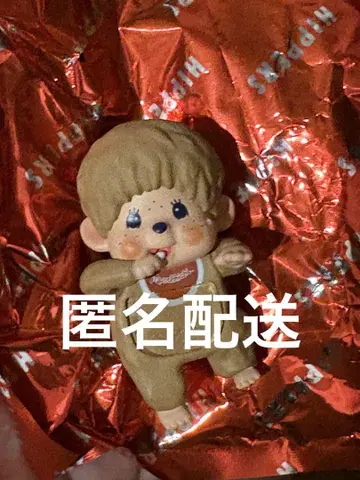 HIPPERS Monchhichi 시크릿 몽치치 히퍼스