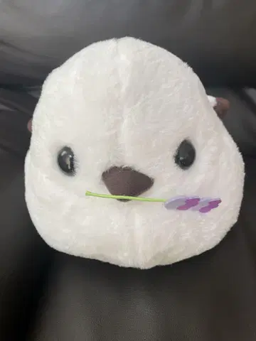 복복 시마연가 컬러풀 플라워 JB 시마짱 라벤더 (23cm)