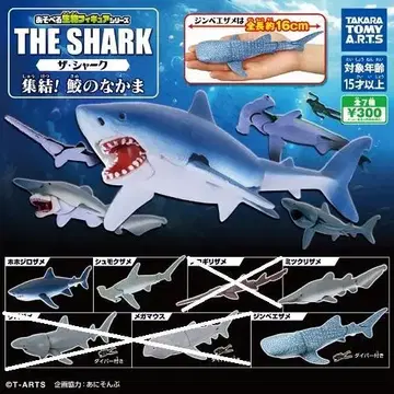 놀 수 있는 생물 피규어 시리즈 더 샤크 집결! 상어 동료 4종 세트