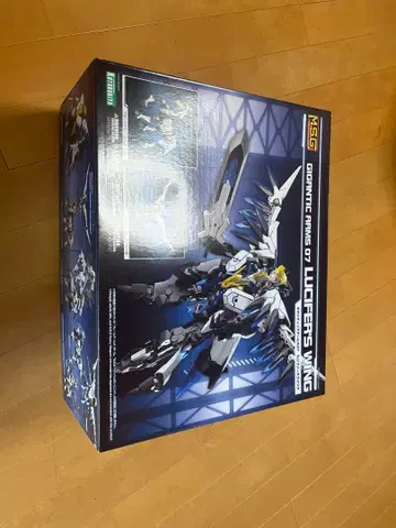 MSG 프레임 암즈 여아 세트