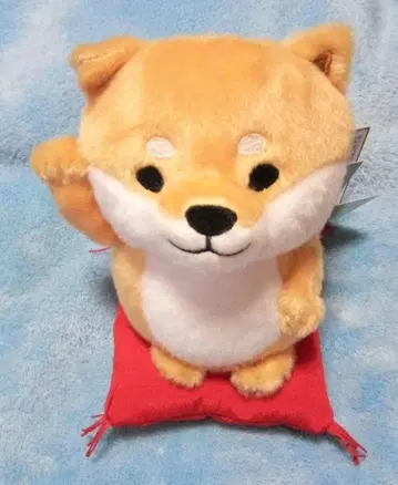 시바견 봉제 인형 시바타 마네키 시바타 씨 시바타 씨 일본풍
