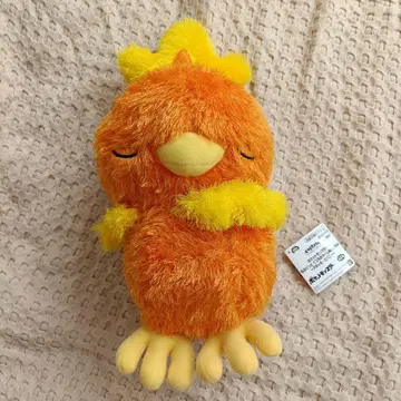 [ 새상품 ] 포켓몬스터 모후굿토 쿠츠로기 타임 봉제 인형 아차모