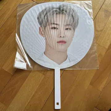 SEVENTEEN 2020 SVT 호시 부채