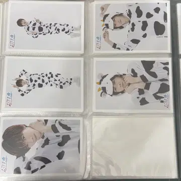 초특급 초특우 료가 브로마이드