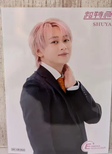 EBiDAN museum 입장 혜택 후기 초특급 슈야