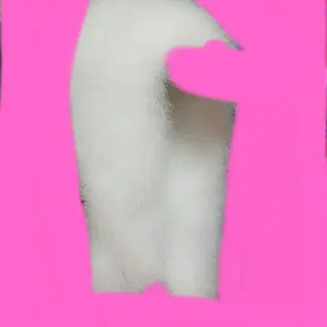 푹신푹신 화이트 물티슈