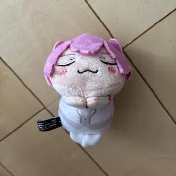 이레이스 나이코 낮잠