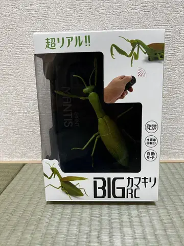 BIG 사마귀 RC