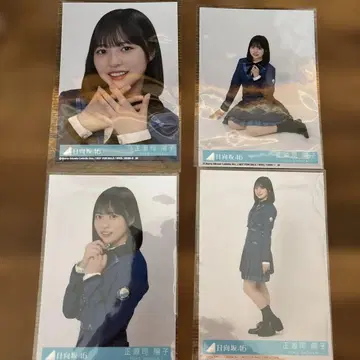 히나타자카46 쇼겐지 요코 4장 세트 절대적 제6감 컴프