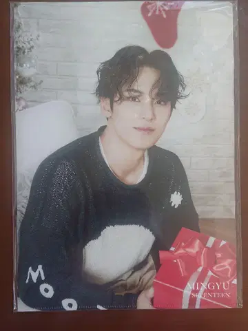 SEVENTEEN MINGYU 한정판 파일
