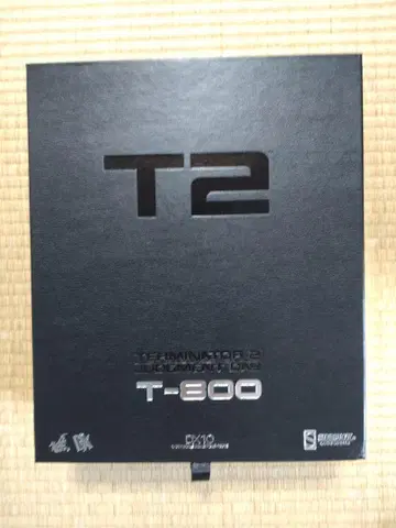 Hottoys T-800 DX10 1/6