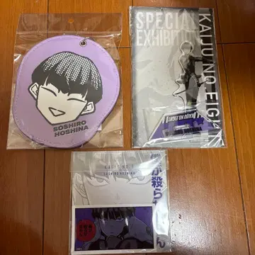 괴수 8호전 호시나 소시로