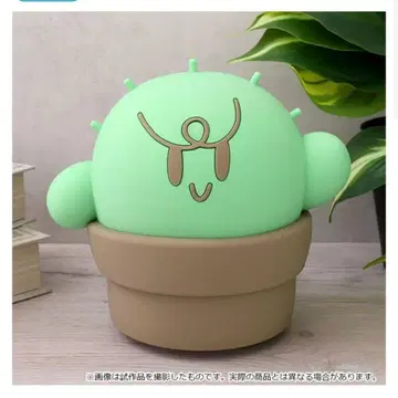 구치츠보 룸 라이트