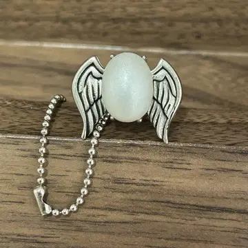 가정교사 히트맨 REBORN! 봉고레 반지 육조화 백란 마를링 1