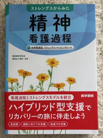 강점 관점에서 본 정신 간호 과정+전체 관련도, 강점 매핑 시트