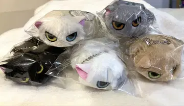 따르지 않는 고양이 가챠 봉제 인형 마스코트 총 5종