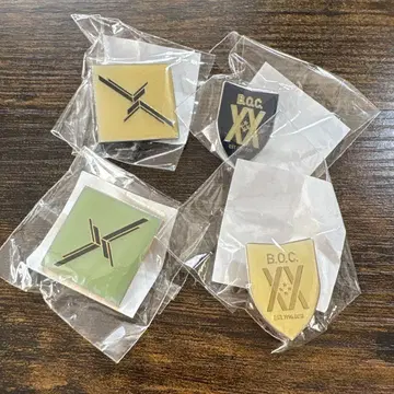 BUMP OF CHICKEN 핀 배지
