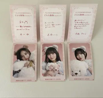 노기자카46 한여름 전국 투어 2025 NOGI메쿠리 정리