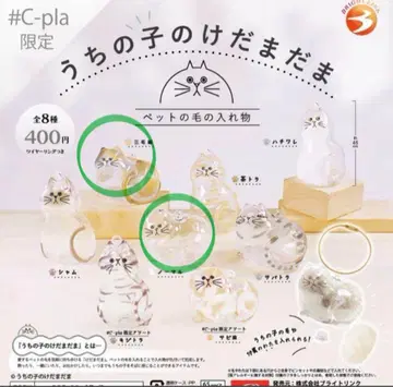 #C-pla 한정판 정품 우리 아이 털뭉치 3 노멀 & 삼색 고양이