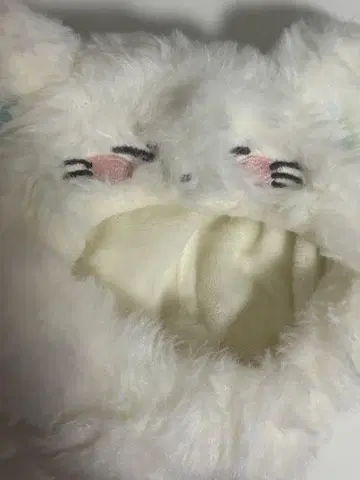 ENHYPEN 선우 펜라 커버