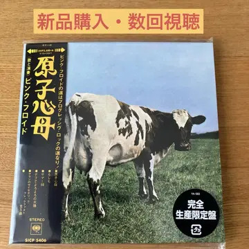 원자심모