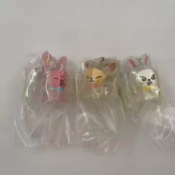 skzoo 스키즈 메지루시 액세서리