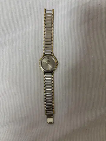 아날로그 손목시계 CITIZEN