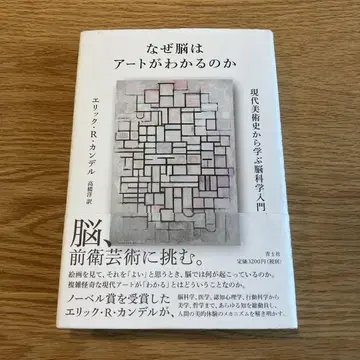 왜 뇌는 아트가 이해하는가 현대 미술사에서 배우는 뇌과학 입문