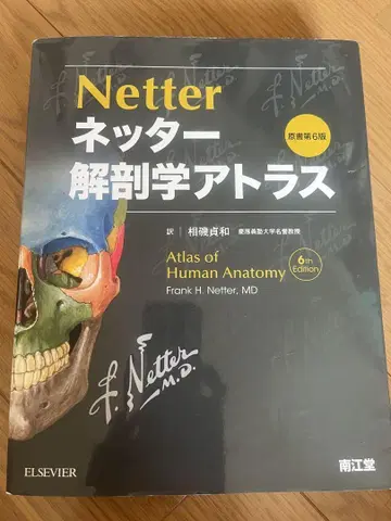 넷터 해부학 아틀라스