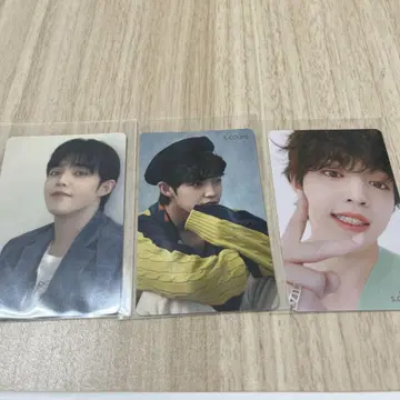 세븐틴 에스쿱스 떨어지는 꽃잎