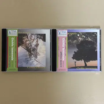키쿠라테멘시스 another triangle & affine space