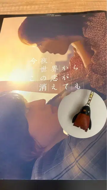 세카코이 펭귄 728자, 팜플렛 펭귄 가죽 키링