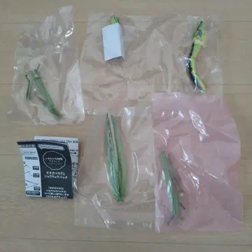 생물대도감 어드밴스 쇼리료바타 그린 컬러 캡슐 토이