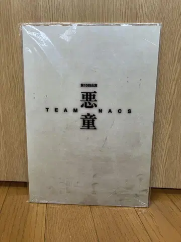 TEAM NACS 제15회 공연 팜플렛 악동
