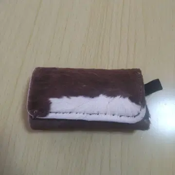 송치 키케이스
