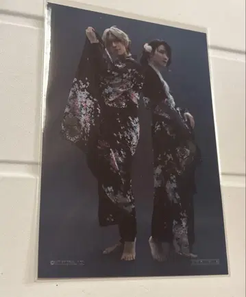 츠키스테 브로마이드 무츠키 하지 야요이 하루