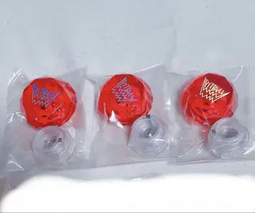 파라라이 료가 묶음