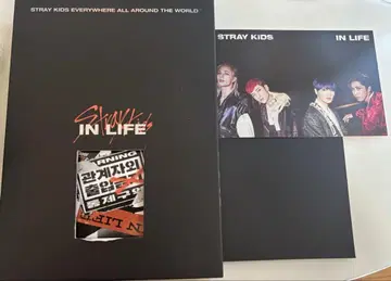 Stray Kids 앨범 한정판 IN 스키즈