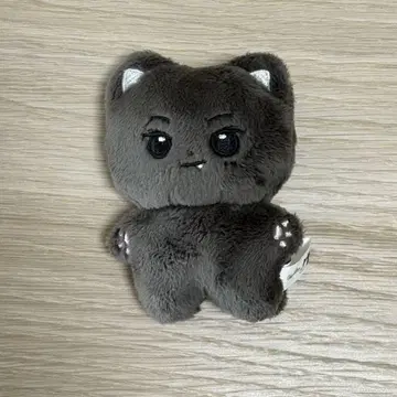ENHYPEN 제이 봉제 인형 10cm 마스터