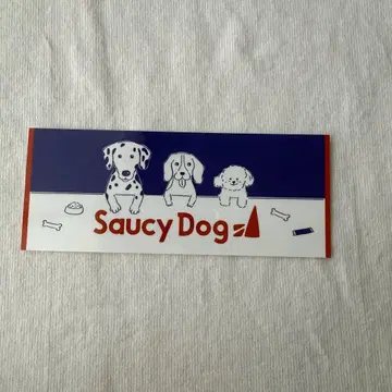 Saucy Dog 스티커
