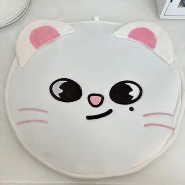 지니 레트 부채 케이스
