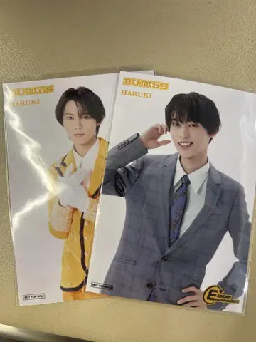 EBiDAN MUSEUM 브로마이드 HARUKI