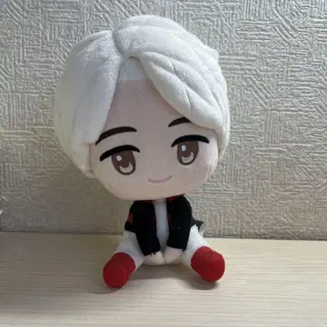 BTS tinytan 지민 1번 복권 봉제 인형
