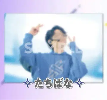 타치바나 군 클리어 포스터 8장 세트 STPREXPO 낱개 판매 가능