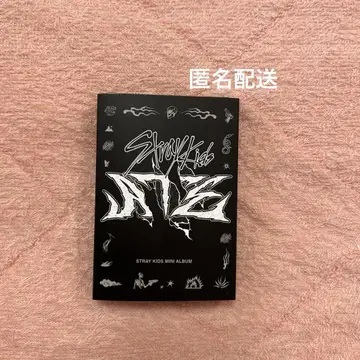straykids ate 미니앨범 트레이딩 카드
