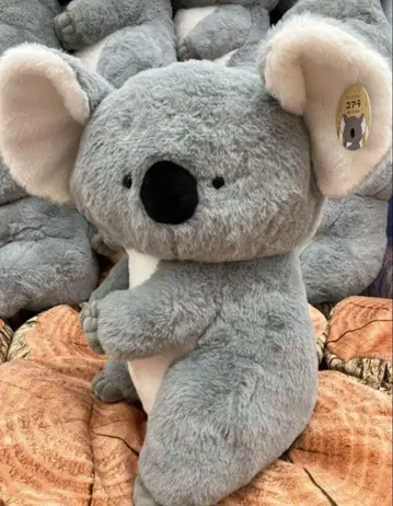 안아줘 코알라 봉제 인형 약 43cm 마스코트 빅 사이즈