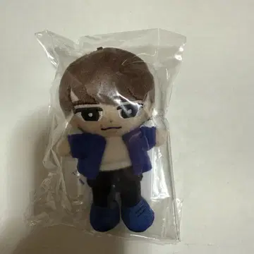 와타나베 쇼타 스노