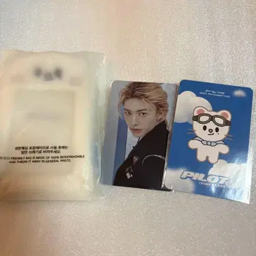진이레트 트레이딩 카드 케이스 현진 파이롯트 스키즈 skzoo