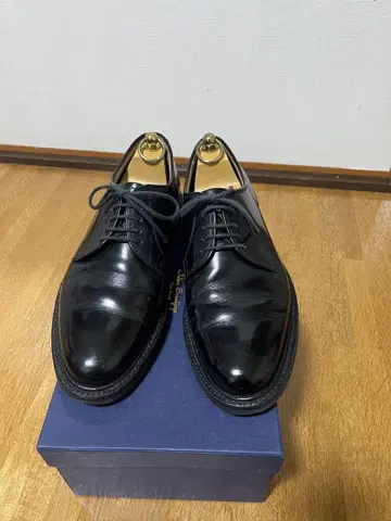 리걸 GEOX 비즈니스 슈즈
